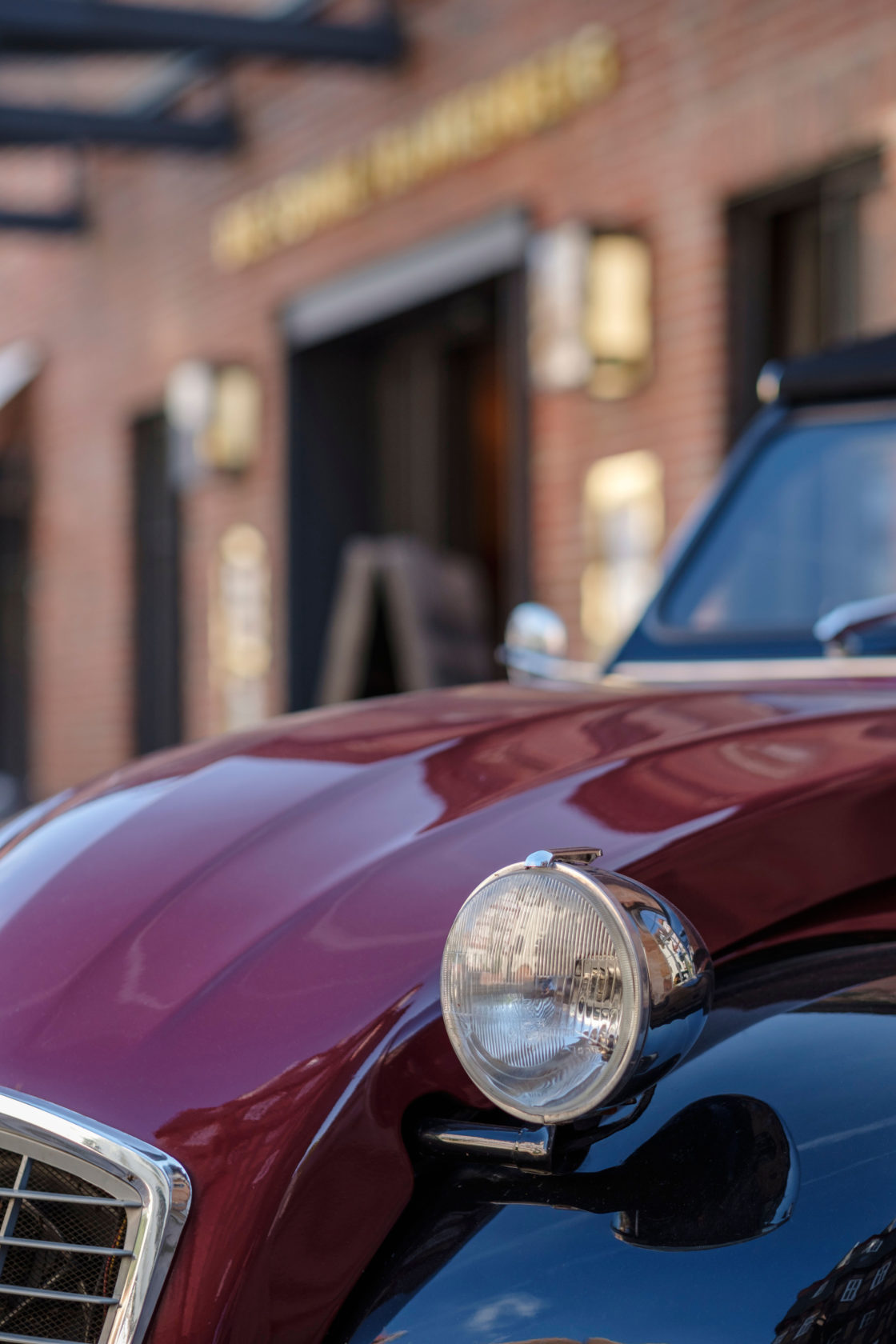 Detailaufnahme Ente vor dem Hotel im Ederbergland